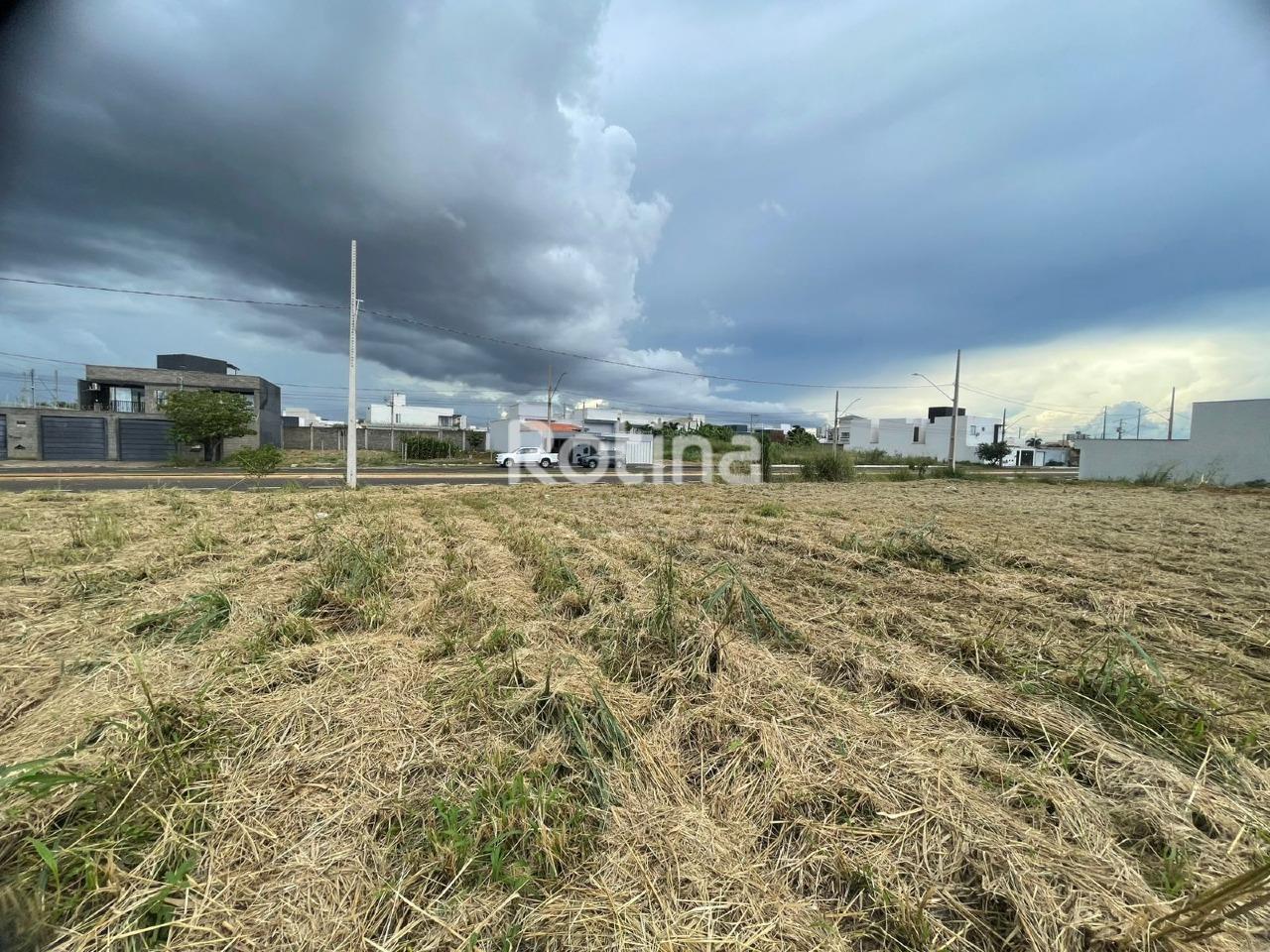 Terreno à venda, em Uberlândia no bairro Novo Mundo no valor de R$ 300.000,00 - Rotina Imobiliária: 
