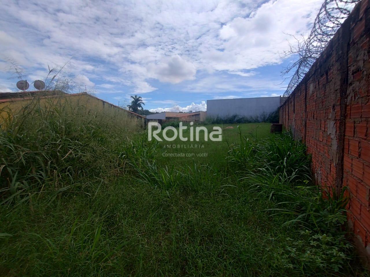 Terreno para alugar, em Uberlândia no bairro Pacaembu no valor de R$ 1.200,00 - Rotina Imobiliária: 