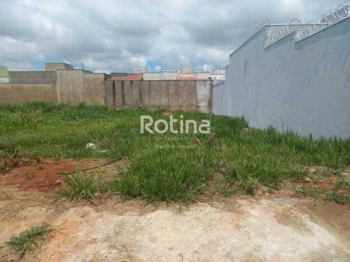 Terreno à venda, em Uberlândia no bairro Novo Mundo no valor de R$ 310.000,00 - Rotina Imobiliária: 