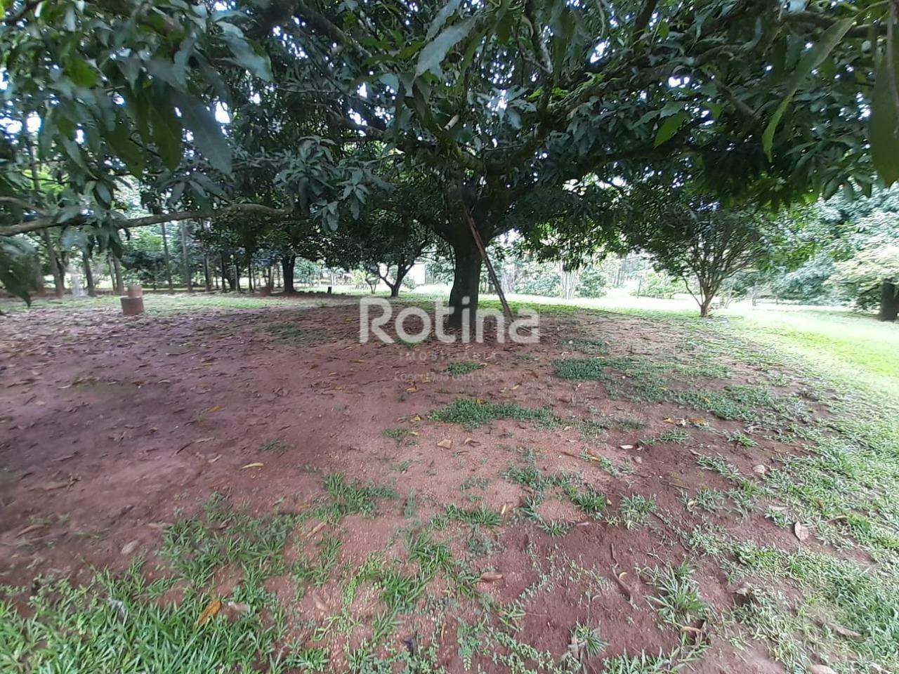 Casa Condomínio Fechado à venda, 2 quartos em Uberlândia no bairro Morada do Sol no valor de R$ 2.150.000,00 - Rotina Imobiliária: 