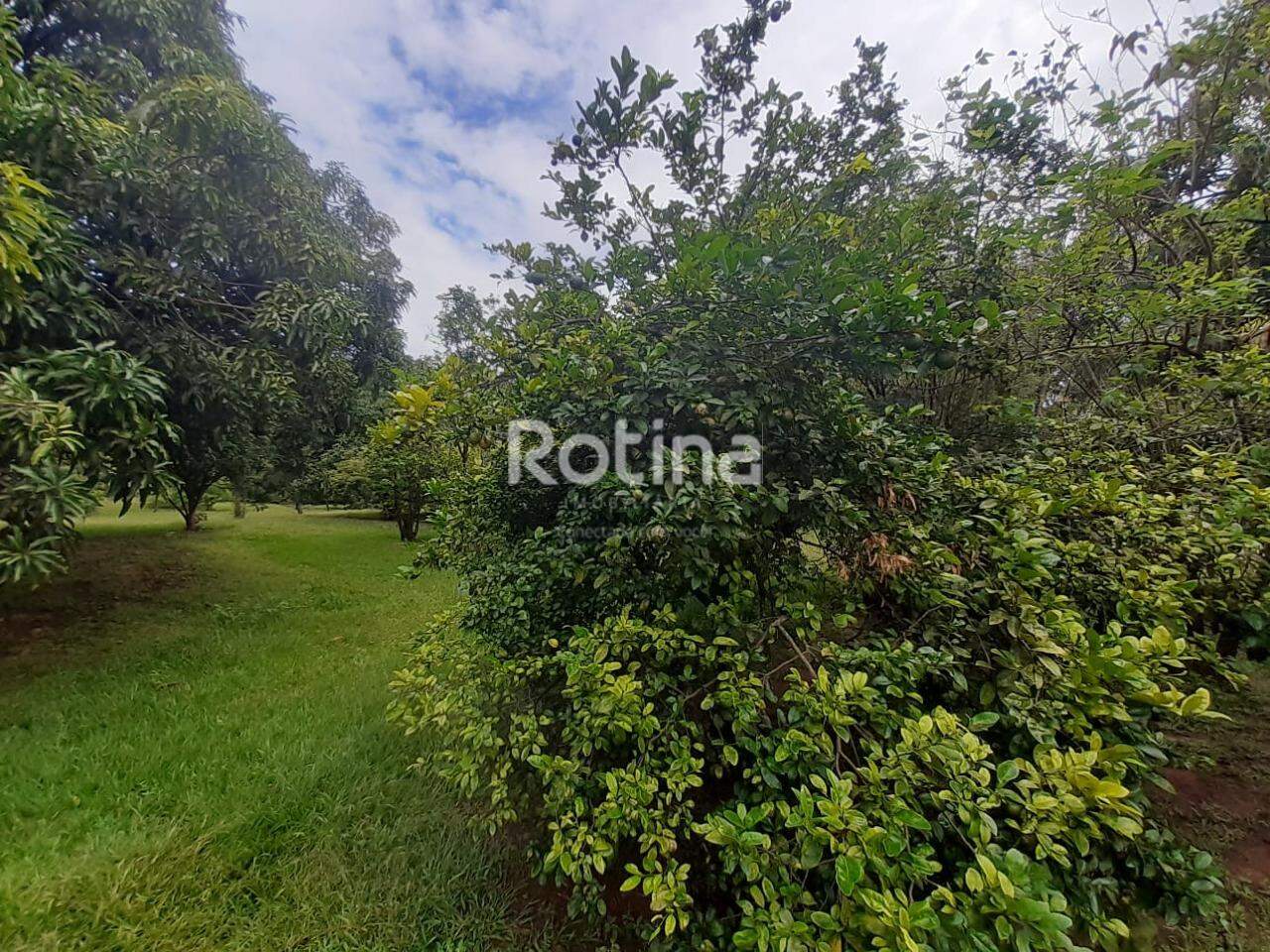 Casa Condomínio Fechado à venda, 2 quartos em Uberlândia no bairro Morada do Sol no valor de R$ 2.150.000,00 - Rotina Imobiliária: 