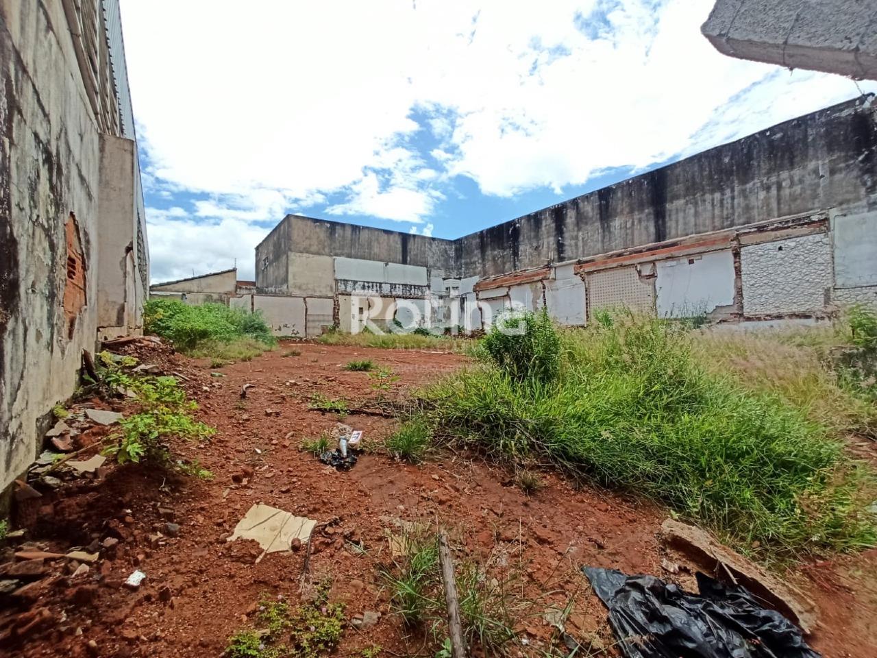 Terreno para alugar, em Uberlândia no bairro Brasil no valor de R$ 15.000,00 - Rotina Imobiliária: 