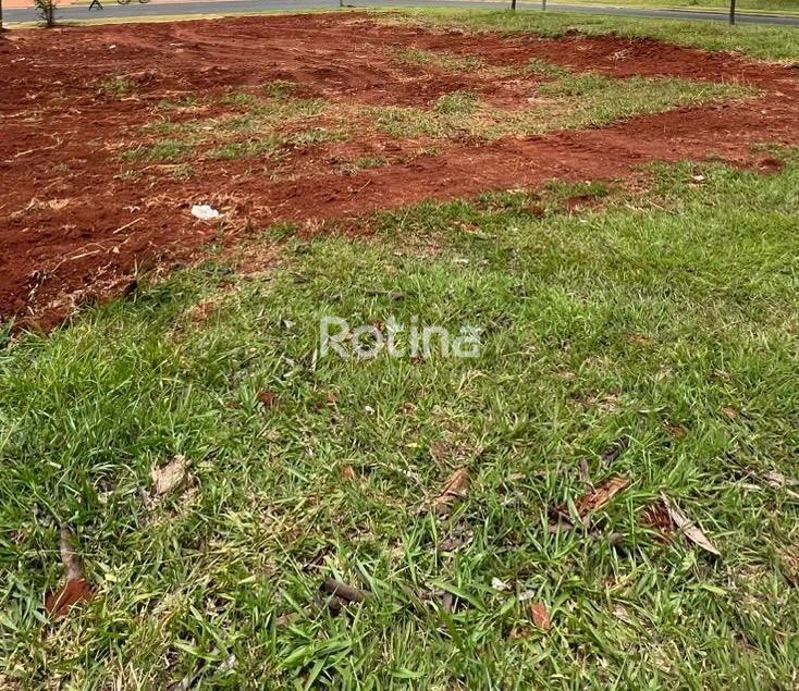 Terreno à venda, em Uberlândia no bairro Cond. Alphaville II no valor de R$ 650.000,00 - Rotina Imobiliária: 