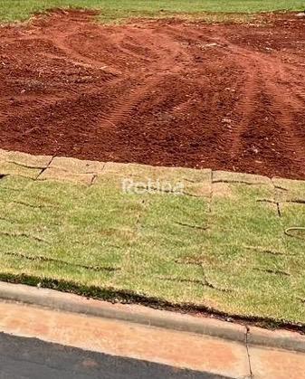 Terreno à venda, em Uberlândia no bairro Cond. Alphaville II no valor de R$ 650.000,00 - Rotina Imobiliária: 