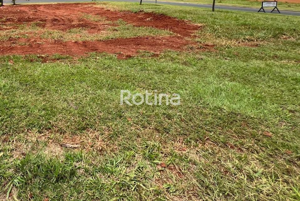 Terreno à venda, em Uberlândia no bairro Cond. Alphaville II no valor de R$ 650.000,00 - Rotina Imobiliária: 