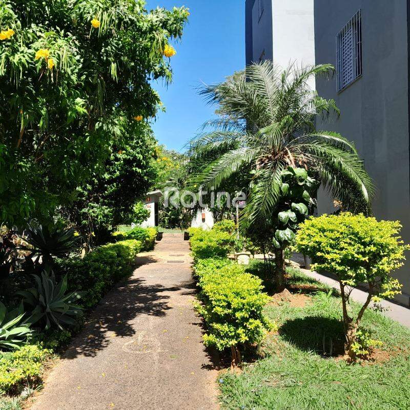 Apartamento para alugar, 3 quartos em Uberlândia no bairro Custódio Pereira no valor de R$ 1.800,00 - Rotina Imobiliária: 