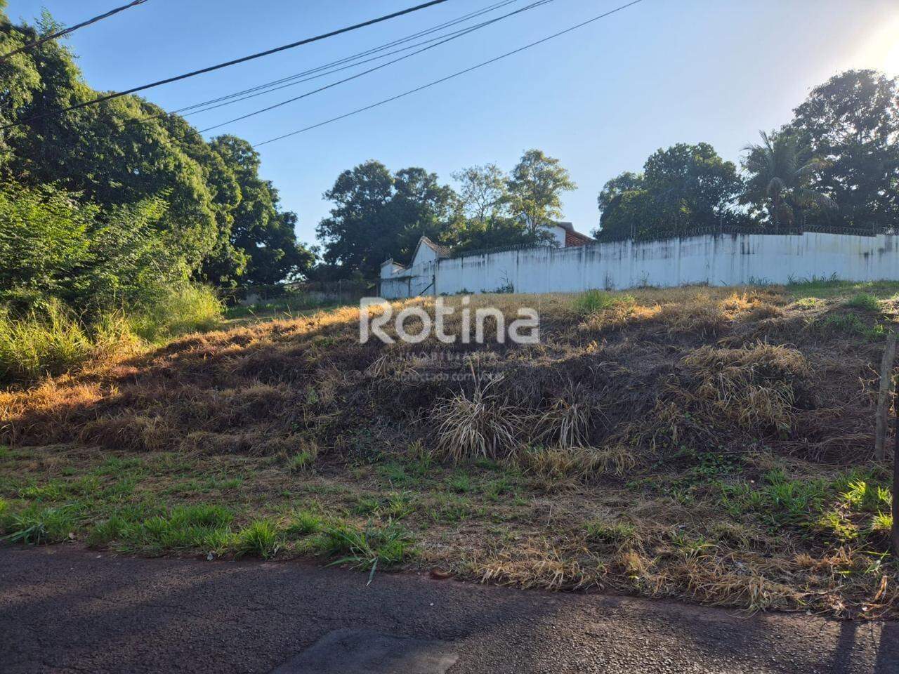Terreno à venda, em Uberlândia no bairro Jardim Inconfidência no valor de R$ 350.000,00 - Rotina Imobiliária: 