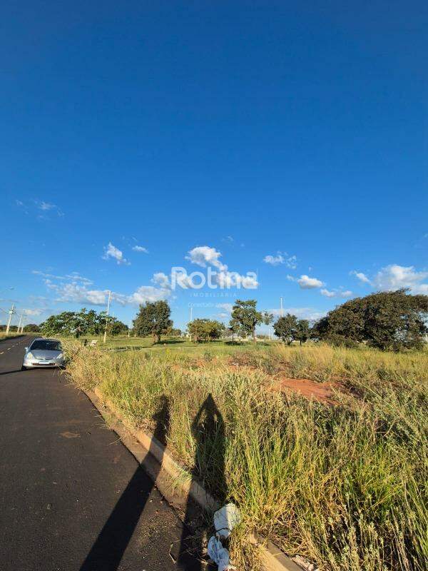 Terreno à venda, em Uberlândia no bairro Loteamento Colinas do Sul no valor de R$ 230.000,00 - Rotina Imobiliária: 