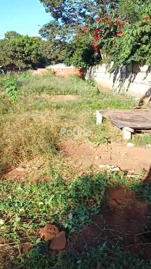 Terreno à venda, em Uberlândia no bairro Valparaíso no valor de R$ 250.000,00 - Rotina Imobiliária: 