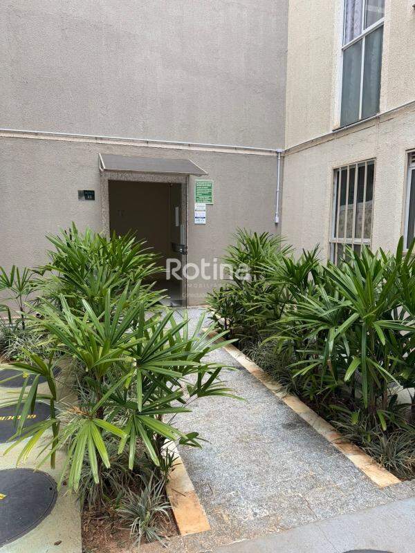 Apartamento à venda, 2 quartos em Uberlândia no bairro Chacaras Tubalina e Quartel no valor de R$ 175.000,00 - Rotina Imobiliária: 