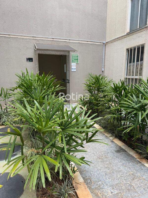 Apartamento à venda, 2 quartos em Uberlândia no bairro Chacaras Tubalina e Quartel no valor de R$ 175.000,00 - Rotina Imobiliária: 