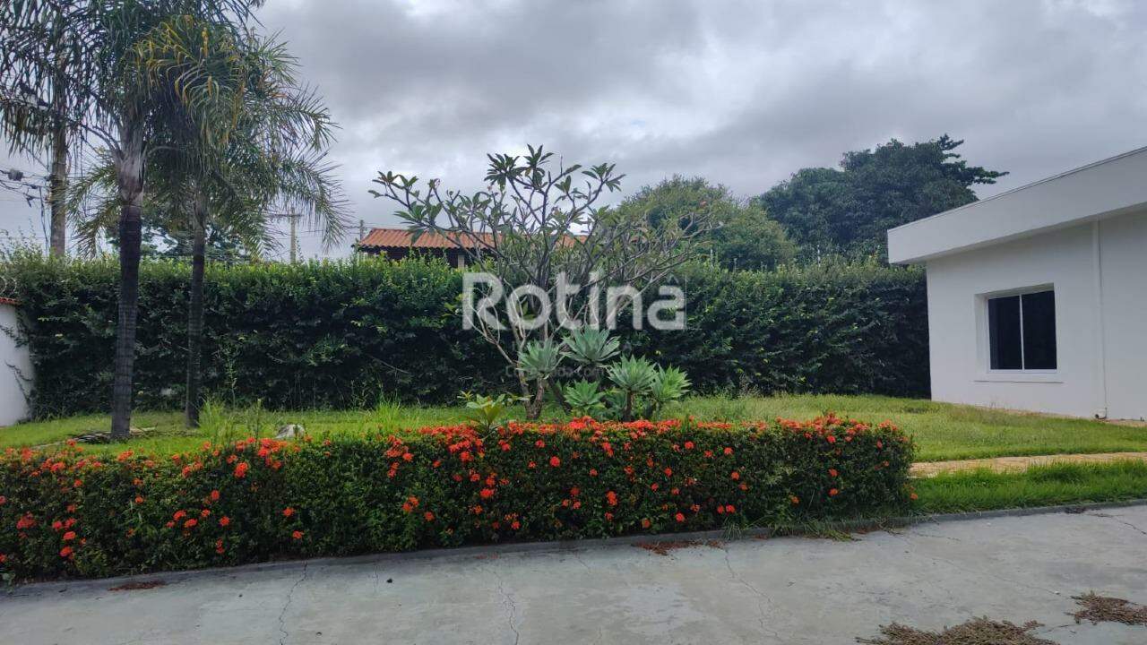 Casa Comercial para alugar, em Uberlândia no bairro Saraiva no valor de R$ 7.000,00 - Rotina Imobiliária: 