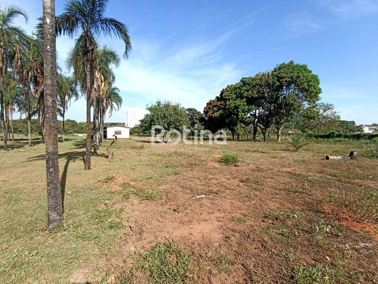Área à venda, em Uberlândia no bairro Jardim Canaã no valor de R$ 7.611.500,00 - Rotina Imobiliária: 