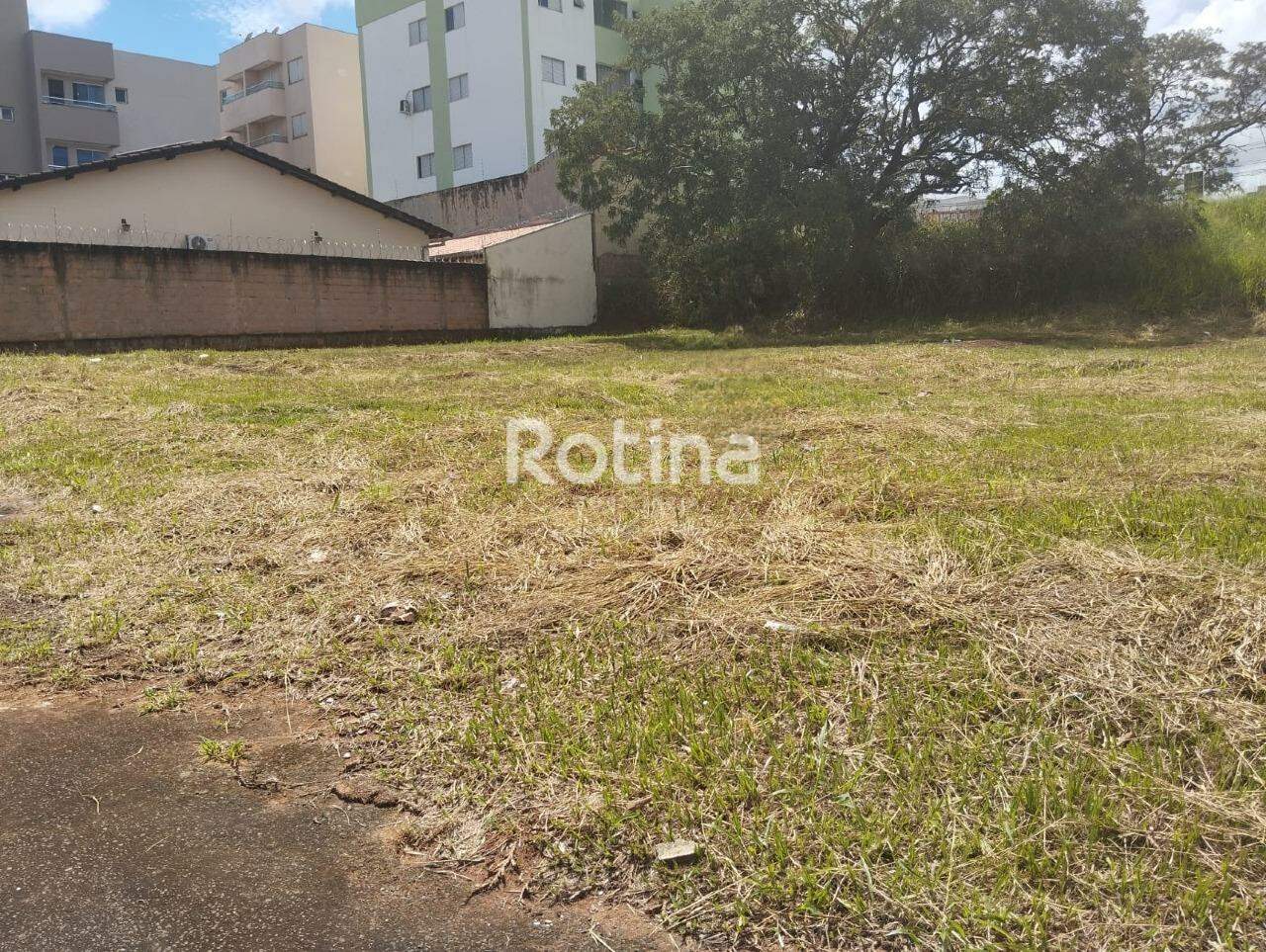 Terreno à venda, em Uberlândia no bairro Bosque dos Buritis no valor de R$ 275.000,00 - Rotina Imobiliária: 