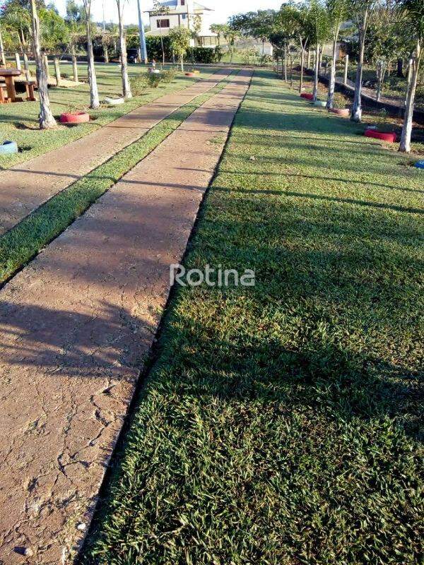 Sítio à venda, 3 quartos em Uberlândia no bairro Zona Rural no valor de R$ 1.600.000,00 - Rotina Imobiliária: 
