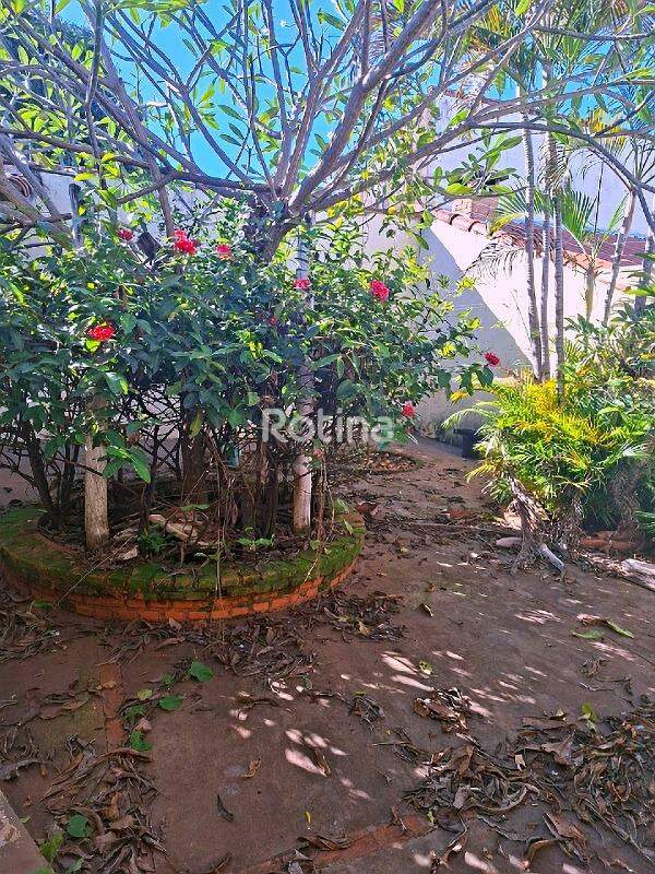 Casa à venda, 3 quartos em Uberlândia no bairro Cidade Jardim no valor de R$ 950.000,00 - Rotina Imobiliária: 