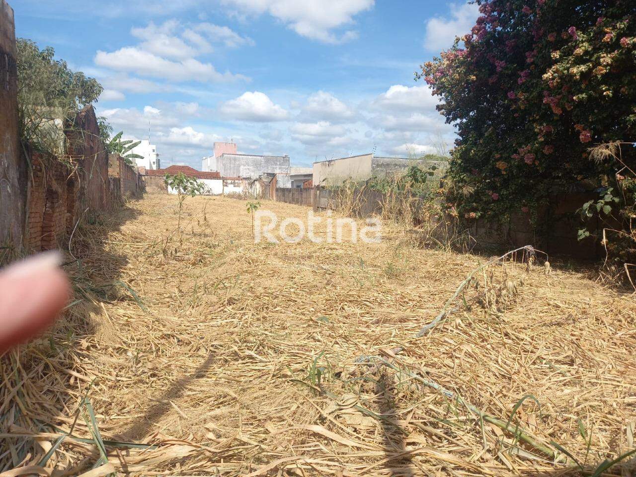 Terreno à venda, em Uberlândia no bairro Cidade Jardim no valor de R$ 390.000,00 - Rotina Imobiliária: 