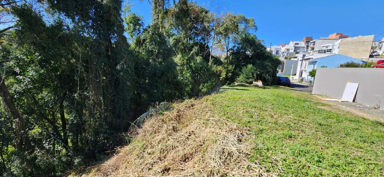 Terreno em Condomínio com 303 m2 à venda - Abranches - Curitiba / Paraná miniatura 3