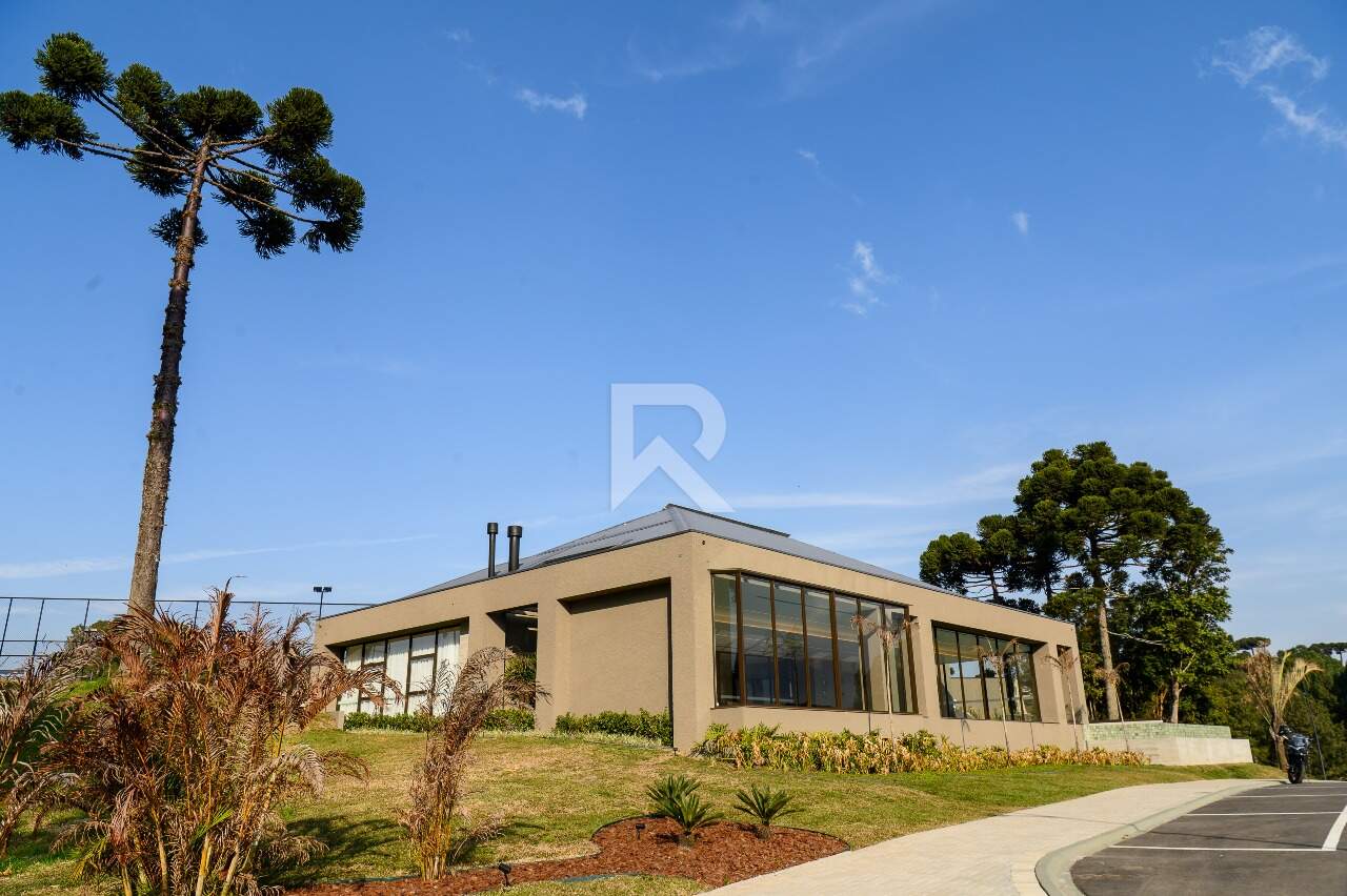 Terreno com Vista Livre à venda, 741,84 m² - Butiatuvinha - Curitiba/PR miniatura 12