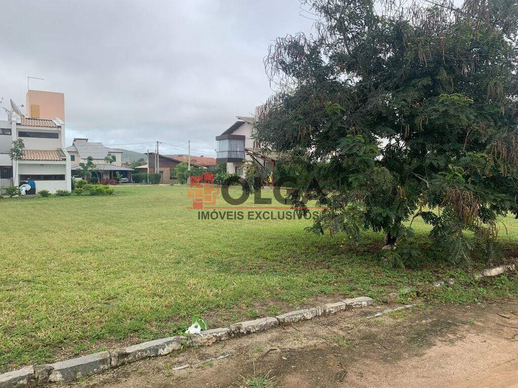 Terreno à venda no bairro Novo Gravatá: 