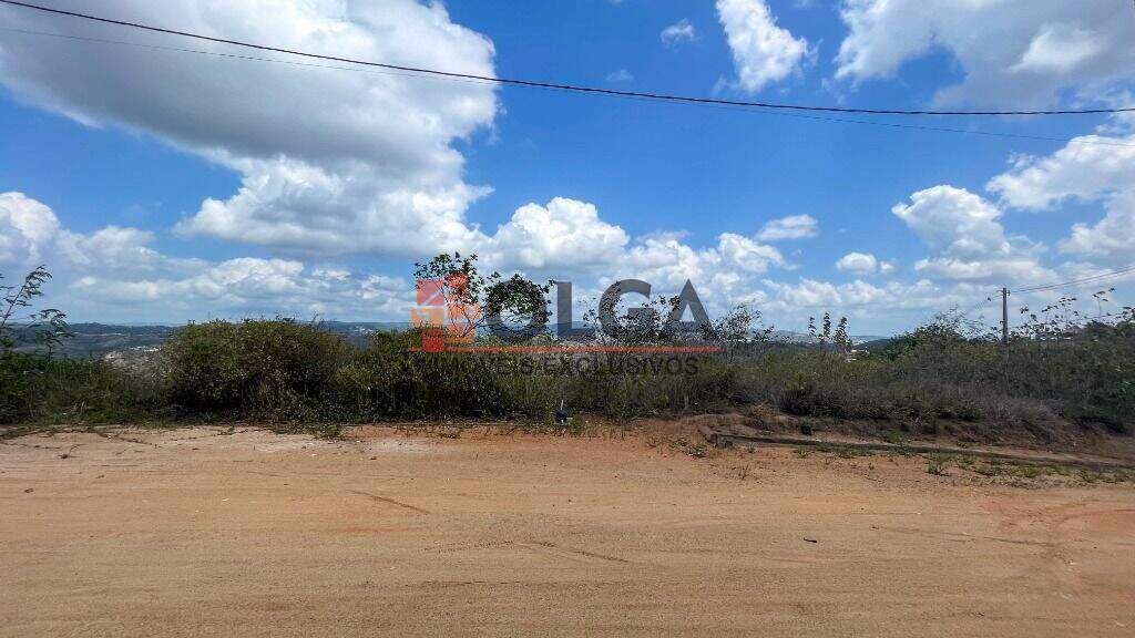 Terreno à venda no bairro Novo Gravatá: 