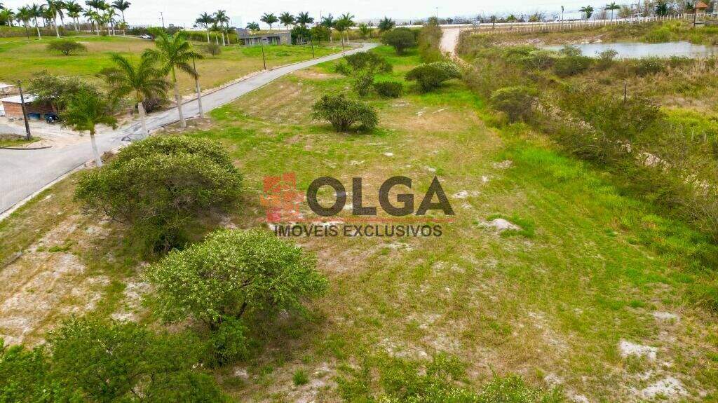 Terreno à venda no bairro Novo Gravatá: 