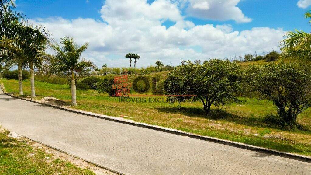 Terreno à venda no bairro Novo Gravatá: 