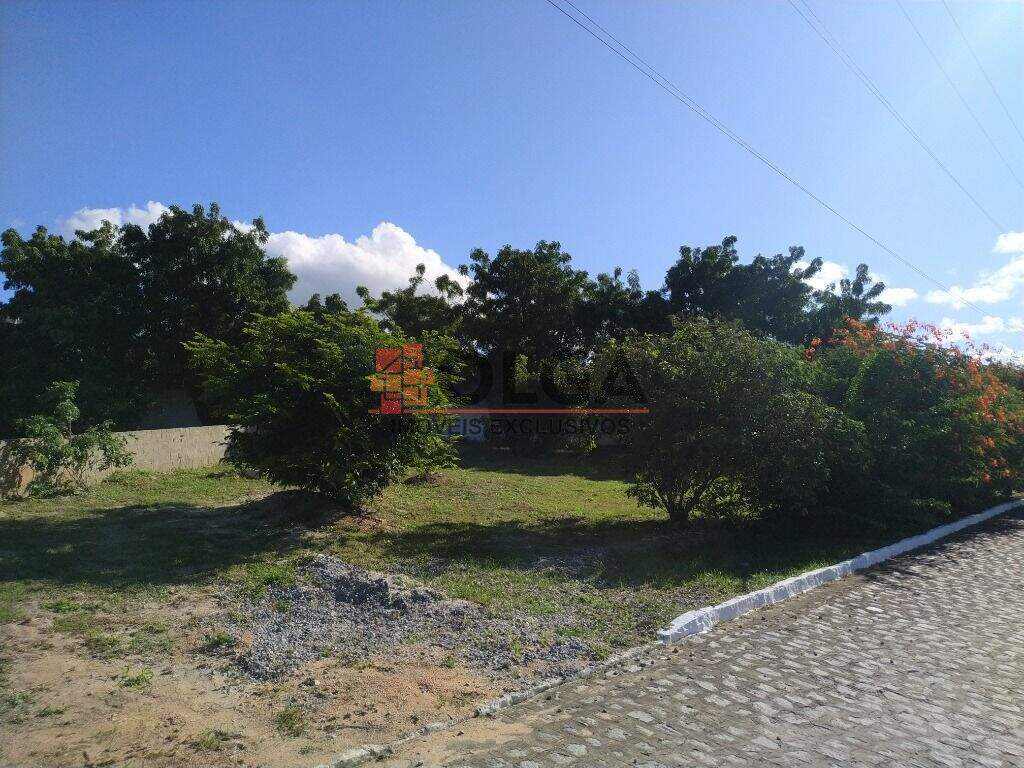 Terreno à venda no bairro Nossa Senhora Aparecida: 
