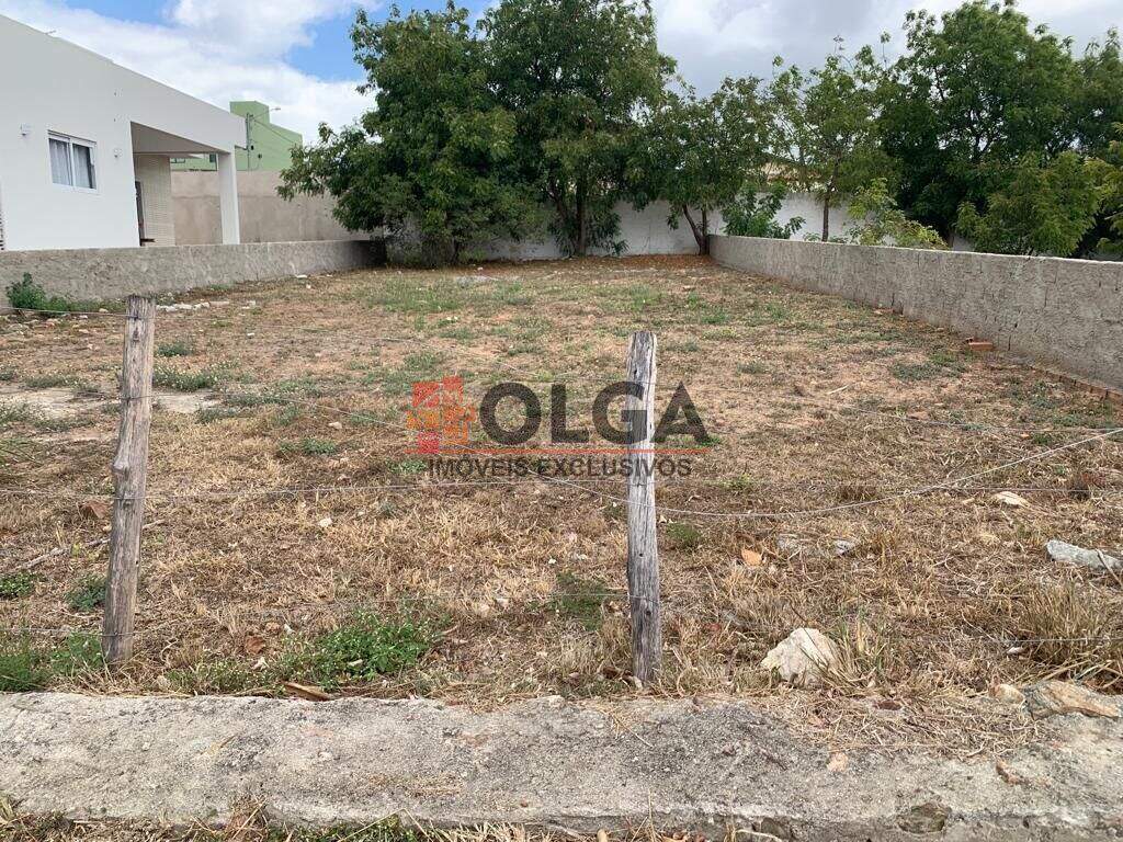 Terreno à venda no bairro Nossa Senhora Aparecida: 