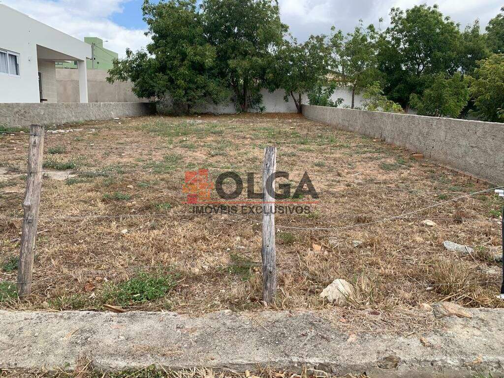 Terreno à venda no bairro Nossa Senhora Aparecida: 