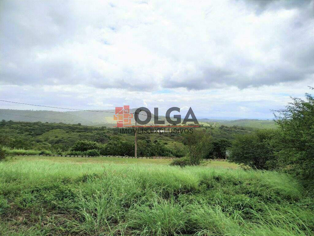 Terreno à venda no bairro Novo Gravatá: 