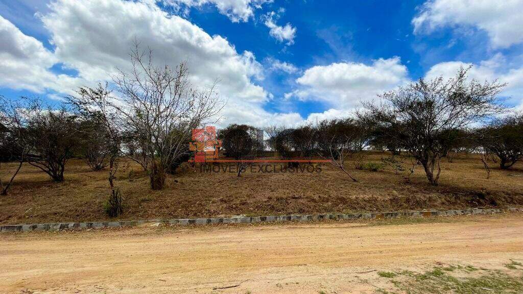 Terreno à venda no bairro Novo Gravatá: 