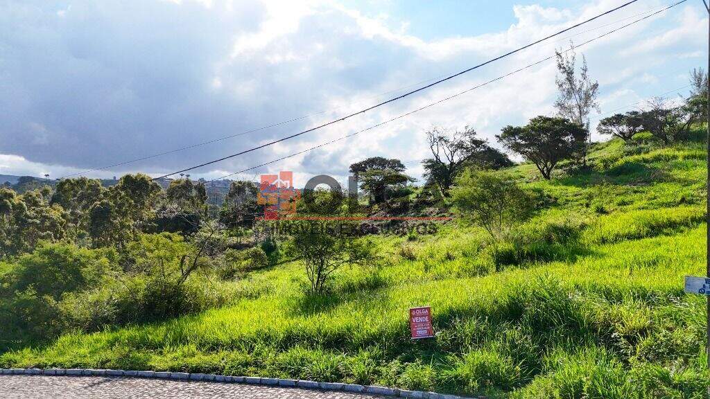 Terreno à venda no bairro Porta Florada: 
