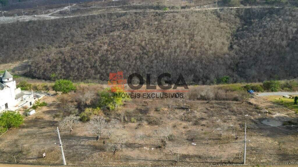 Terreno à venda no bairro Campos Do Jordão: 