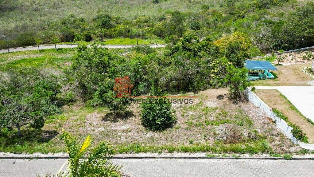 Terreno à venda no bairro Novo Gravatá: 