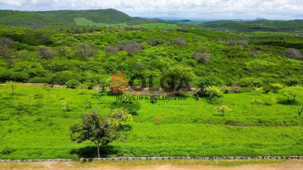 Terreno à venda no bairro Campos Do Jordão: 