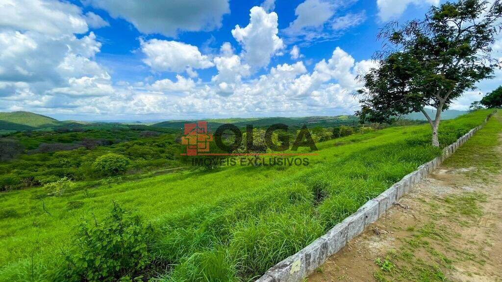 Terreno à venda no bairro Campos Do Jordão: 