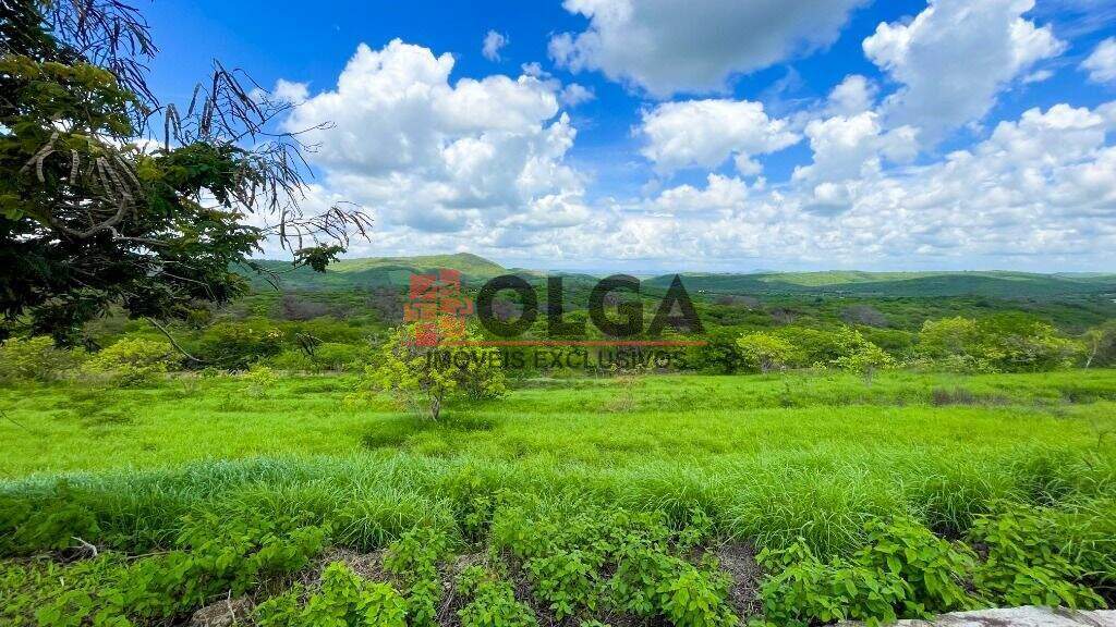 Terreno à venda no bairro Campos Do Jordão: 