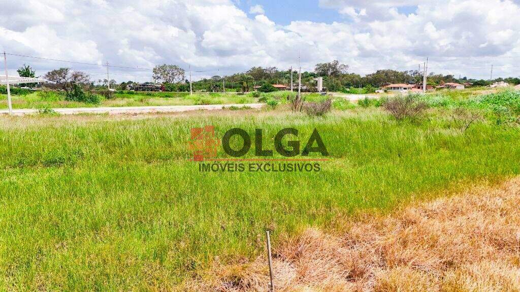 Terreno à venda no bairro Novo Gravatá: 