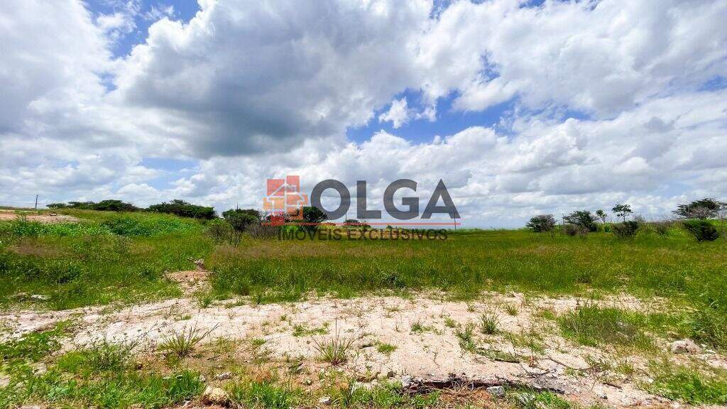 Terreno à venda no bairro Novo Gravatá: 