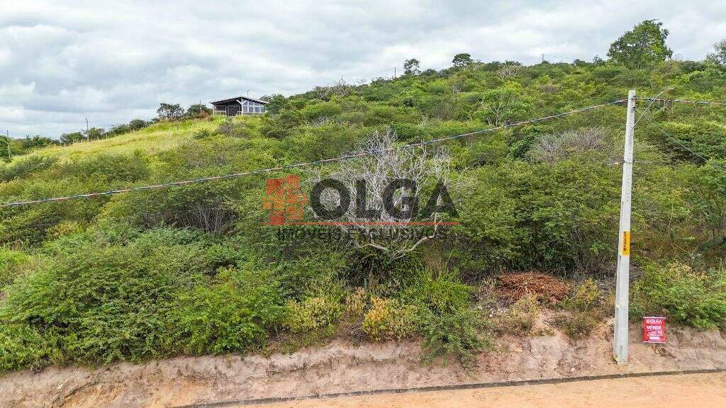 Terreno à venda no bairro Novo Gravatá: 