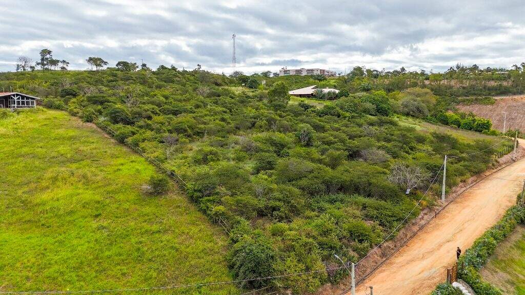 Terreno à venda no bairro Novo Gravatá: 