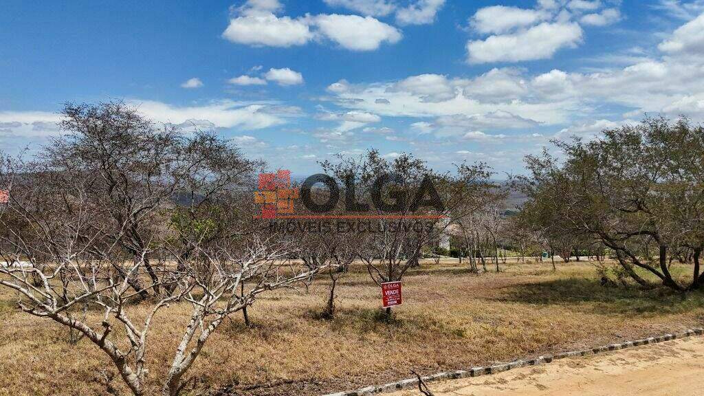 Terreno à venda no bairro Campos Do Jordão: 