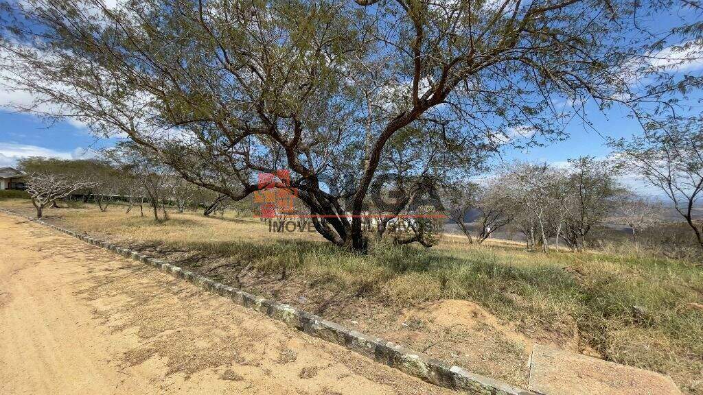 Terreno à venda no bairro Campos Do Jordão: 