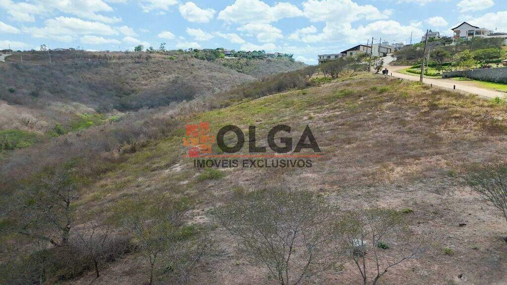 Terreno à venda no bairro Novo Gravatá: 