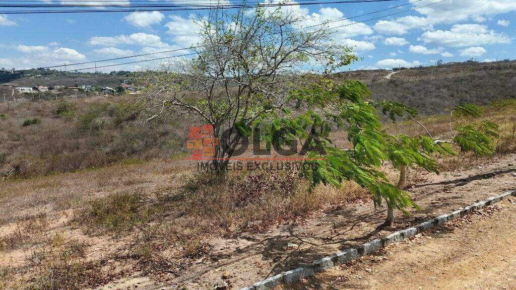 Terreno à venda no bairro Novo Gravatá: 