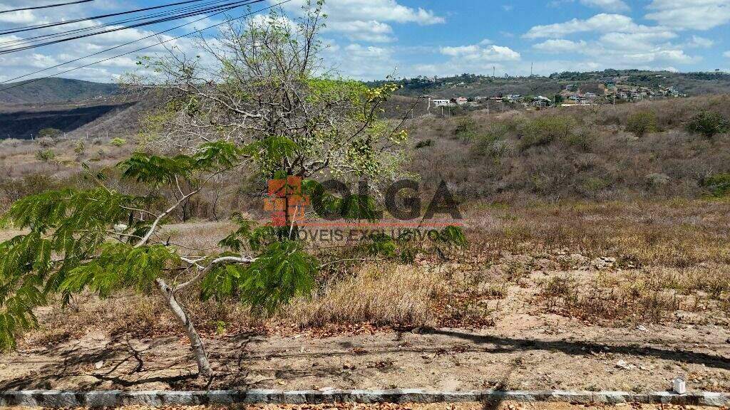 Terreno à venda no bairro Novo Gravatá: 