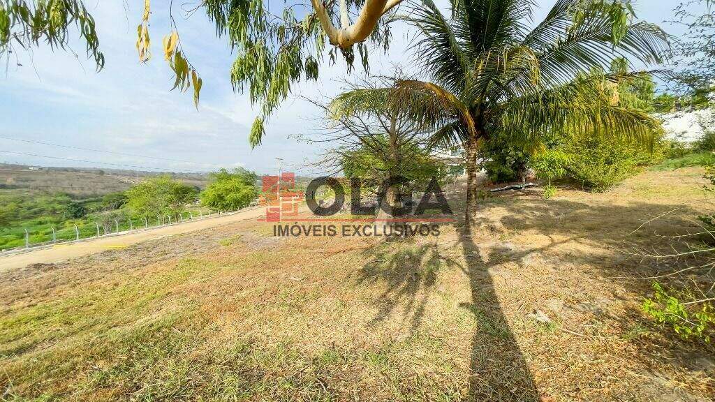 Terreno à venda no bairro Insurreição: 