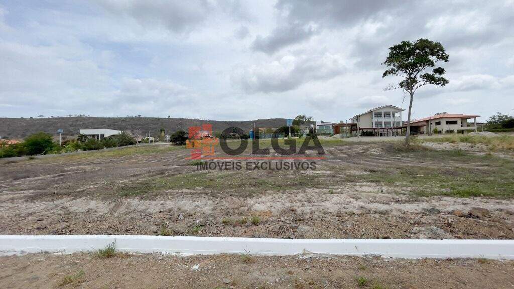 Terreno à venda no bairro Novo Gravatá: 