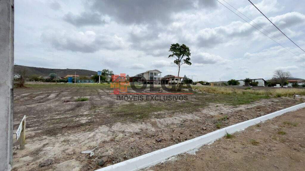 Terreno à venda no bairro Novo Gravatá: 